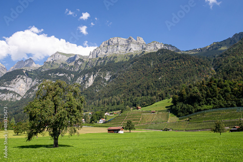 Farmland and houses at the foot of the Swiss Alps in Switzerland