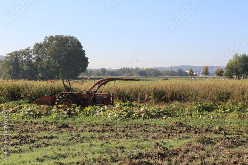 Herbststimmung in den Feldern von Iserlohn im Sauerland photo