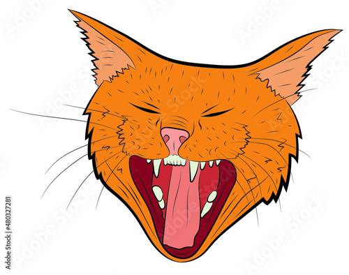 Realistic yawning cat portrait. Vector illustration.