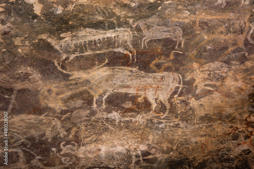 Bhimbetka Rock Shelters, Raisen, Madhya Pradesh, India. Declared a UNESCO World Heritage site in 2003, the shelters contain ancient rock art from the Upper Paleolithic to Medieval times.