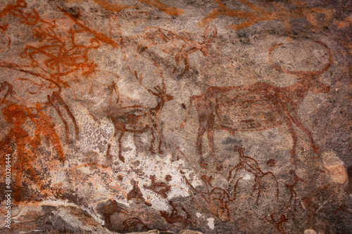 Bhimbetka Rock Shelters, Raisen, Madhya Pradesh, India. Declared a UNESCO World Heritage site in 2003, the shelters contain ancient rock art from the Upper Paleolithic to Medieval times.