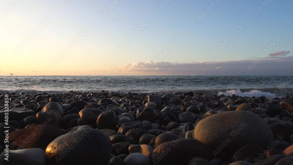 Seagull flying over the sea. The sea wave breaks on the coastal rocks. Sunset. Sunlit clouds at night Seagull flying over the sea. The sea wave breaks on the coastal rocks. Sunset. Sunlit clouds at night