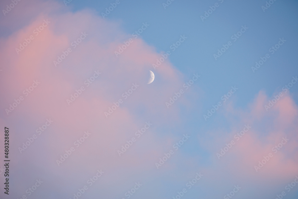 Half moon white on a blue sky with pink clouds. Young moon on a beautiful pastel heavens Half moon white on a blue sky with pink clouds. Young moon on a beautiful pastel heavens