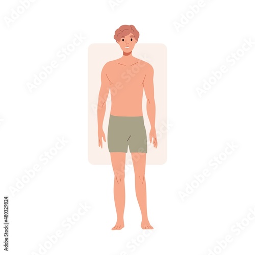 Man with rectangle body shape. Male portrait with rectangular figure type. Slim slender person in trunks with straight proportion, physique. Flat vector illustration isolated on white background