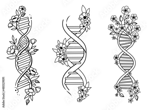 Set of dna spiral. Collection of double floral dna helix. Genetic code with flower. Biology. Science elements. Vector illustration of medical molecule for printing on clothes. 