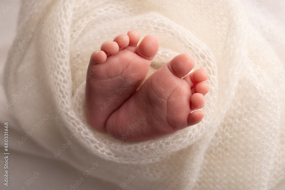 The tiny foot of a newborn. Soft feet of a newborn in a white woolen blanket. Close up of toes, heels and feet of a newborn baby. Studio Macro photography. Woman's happiness. Concept. The tiny foot of a newborn. Soft feet of a newborn in a white woolen blanket. Close up of toes, heels and feet of a newborn baby. Studio Macro photography. Woman's happiness. Concept.