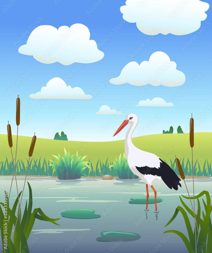 Fototapeta premium Cartoon stork on lake with reeds, with blue sky with clouds lakeside landscape. Vector illustration