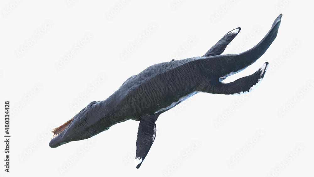 Fototapeta premium 3d rendered illustration of a Liopleurodon