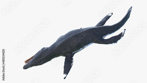Fototapeta Naklejka Na Ścianę i Meble -  3d rendered illustration of a Liopleurodon