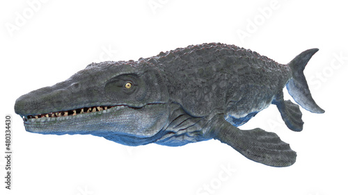 Obraz na plátně 3d rendered illustration of a Mosasaurus