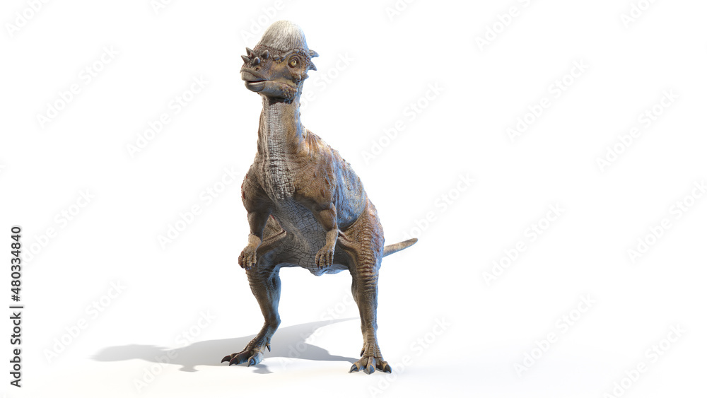 3d rendered illustration of a Pachycephalosaurus