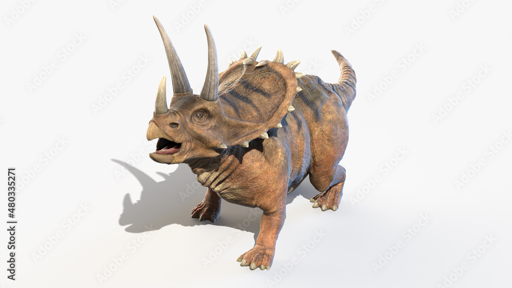 Fototapeta premium 3d rendered illustration of a Pentaceratops
