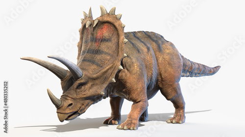 Fototapeta Naklejka Na Ścianę i Meble -  3d rendered illustration of a Pentaceratops