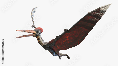 3d rendered illustration of a Pterodactyl © Sebastian Kaulitzki