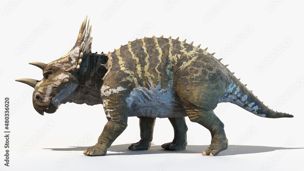 Fototapeta premium 3d rendered illustration of a Regaliceratops