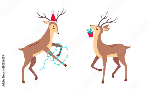 Slender Reindeer with Antler Wearing Hat and Carrying Gift Box Vector Set