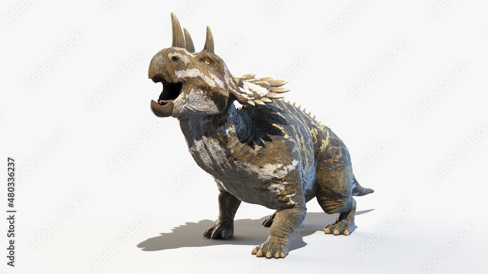 Fototapeta premium 3d rendered illustration of a Regaliceratops