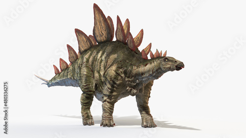 3d rendered illustration of a Stegosaurus