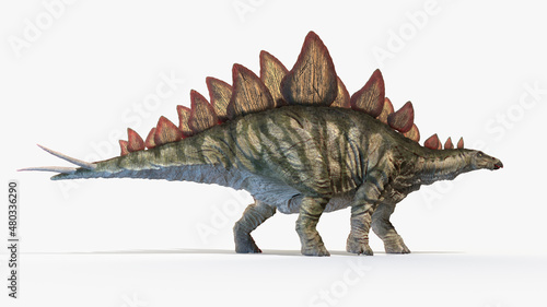 Fototapeta Naklejka Na Ścianę i Meble -  3d rendered illustration of a Stegosaurus