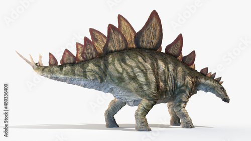 3d rendered illustration of a Stegosaurus © Sebastian Kaulitzki