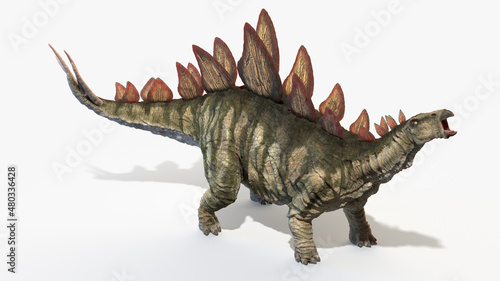 3d rendered illustration of a Stegosaurus