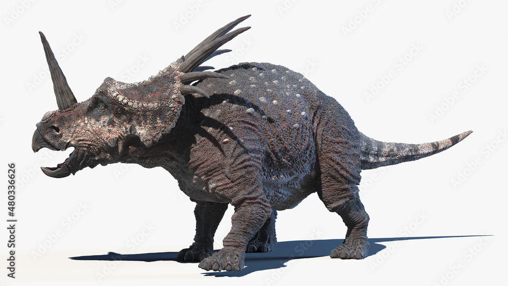 Fototapeta premium 3d rendered illustration of a Styracosaurus