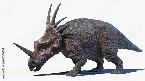 3d rendered illustration of a Styracosaurus photo