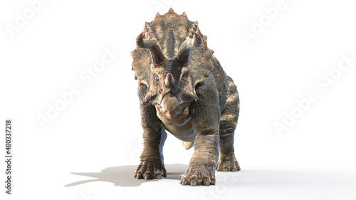 3d rendered illustration of Triceratops © Sebastian Kaulitzki
