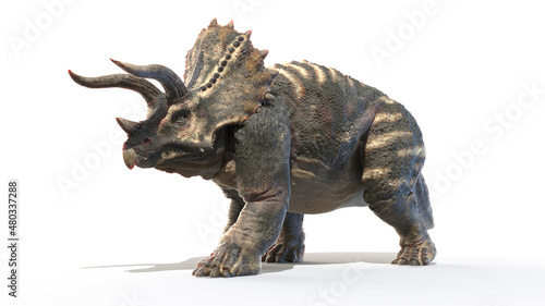 3d rendered illustration of Triceratops © Sebastian Kaulitzki