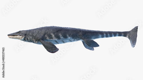 3d rendered illustration of Tylosaurus photo