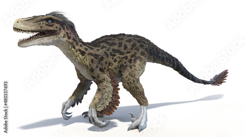 3d rendered illustration of an Utahraptor