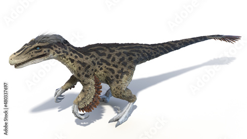 3d rendered illustration of an Utahraptor