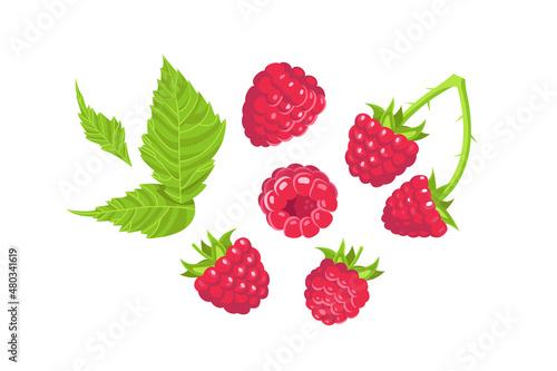 Flat raspberries set with berry and leafs on white background. 