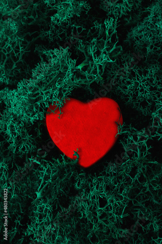 Valentines Day Background Concept. A red heart comes out of the moss. Theme of love. Loving, positive emotions. 