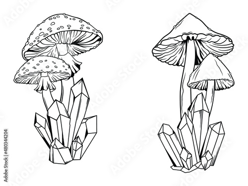 Set of mushrooms with crystals. Collection of magical plants. Witchcraft items. Mystical elements.Vector illustration of halloween object.