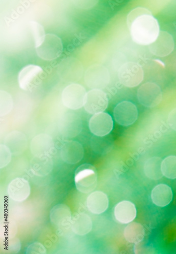 Abstract natural green background with bokeh