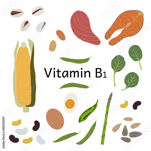 Collection of vitamin B1 sources. Food containing thiamine. Dietetic products, organic nutrition. Flat vector cartoon illustration.