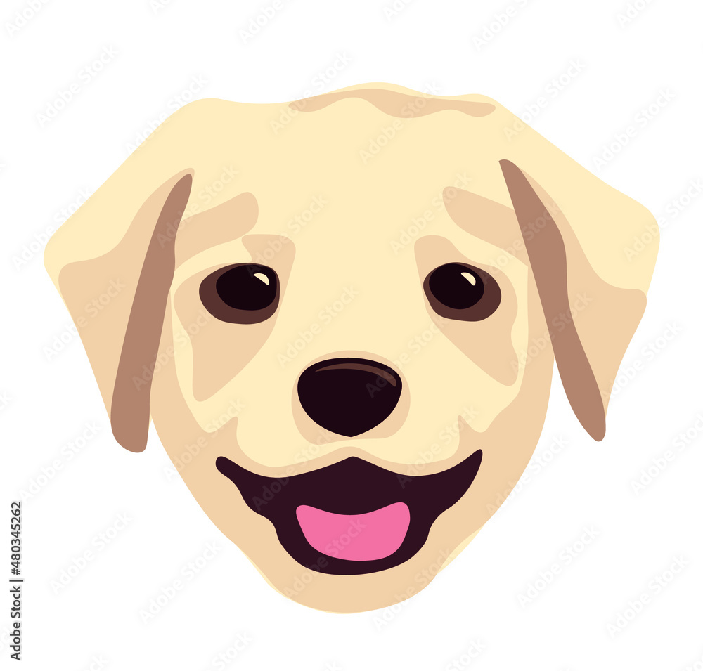 Labrador puppy head isolated on white background. Labrador puppy head isolated on white background.