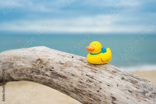 Yellow rubber duckling over a tree by the sea - a concept of vacation  tourism and travel - selective focus  space for text