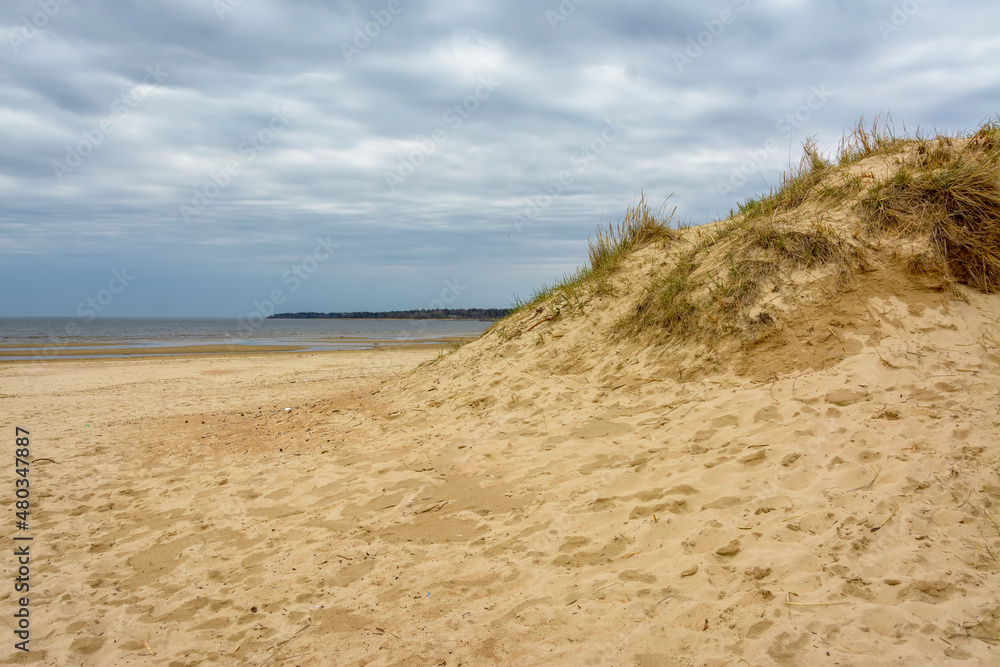 Sand dunes on the coast of the Gulf of Finland in the Leningrad region near the city of Sosnovy Bor. Sand dunes on the coast of the Gulf of Finland in the Leningrad region near the city of Sosnovy Bor.