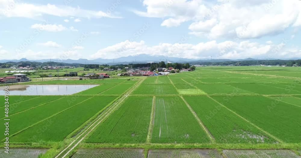 《宮城県・栗原市》春の田園と栗駒山 《宮城県・栗原市》春の田園と栗駒山
