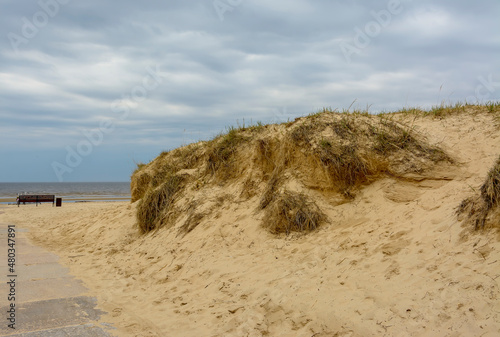 Sand dunes on the coast of the Gulf of Finland in the Leningrad region near the city of Sosnovy Bor. photo