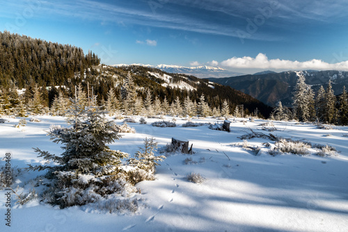 Snowy winter landscape. View from Great Fatra mountains on High Tatras mountains, Slovakia