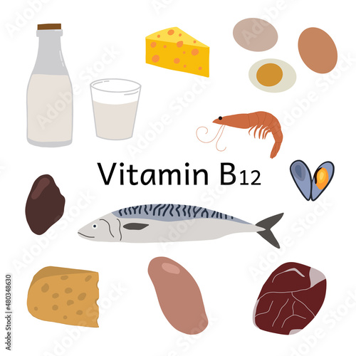 Collection of vitamin B12 sources. Dietetic products, organic nutrition. Flat vector cartoon illustration.