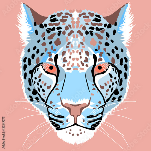 Print with the image of the snout of a snow leopard. Animal poster. 