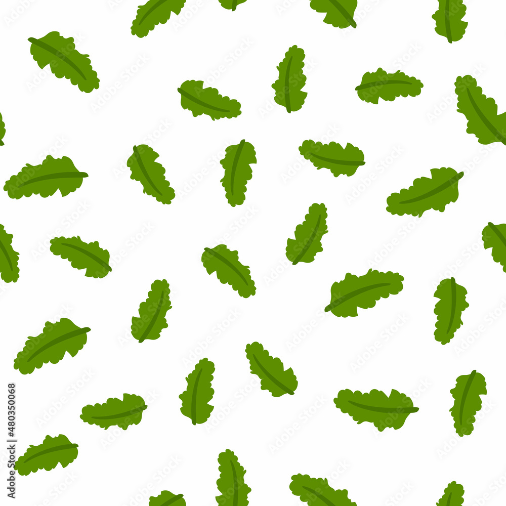 Seamless pattern with kale on white background. Vector illustration of fresh leafy green vegetable