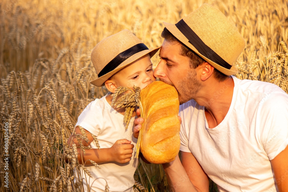 a child in a wheat field eats bread. selective focus