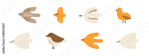 Collection of cartoon birds isolated on white background. Set of flying and sitting abstract birds. Collection of decorative design elements. Flat vector illustration.
