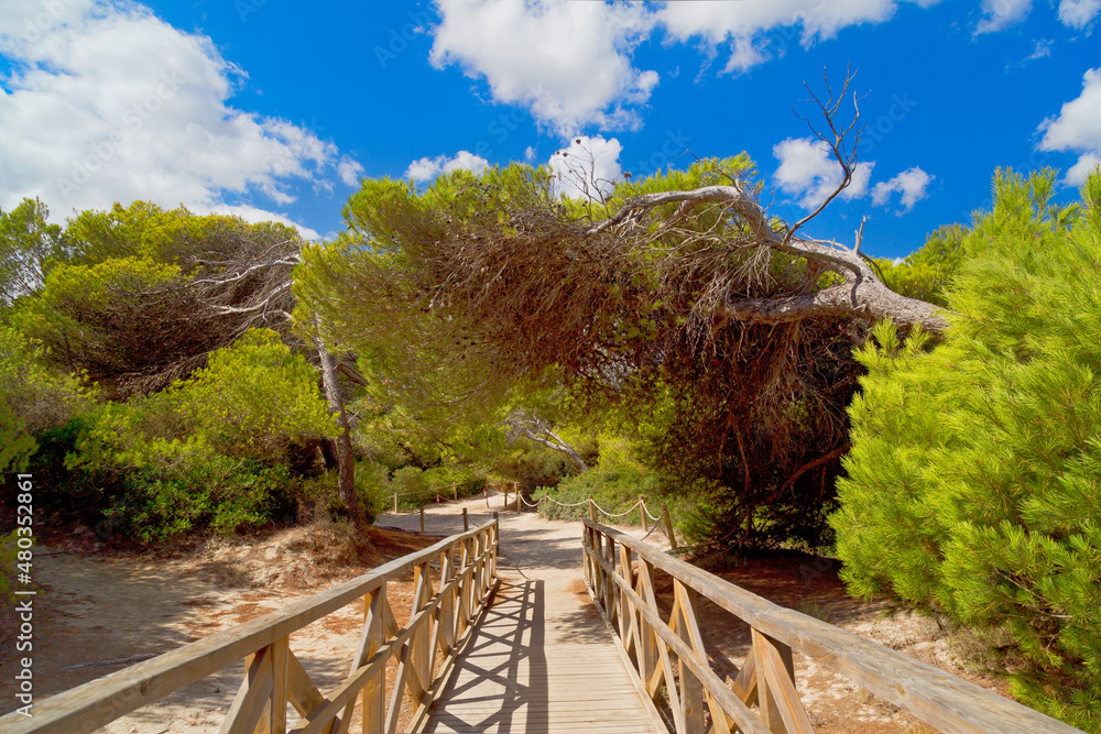 Holzbrücke zum Strand auf Mallorca, Spanien
