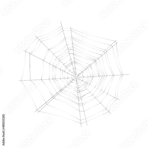 Realistic Cobweb Illustration
